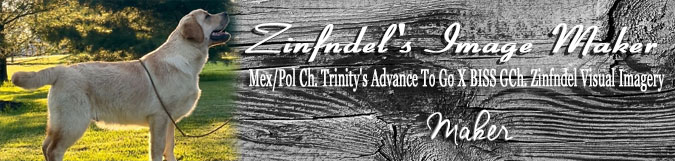 Zinfndel Maker