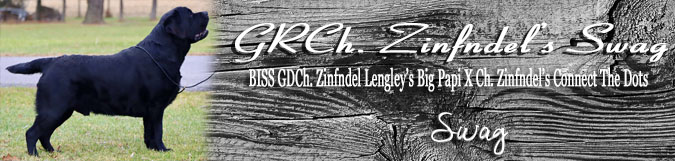 Zinfndel's Swag